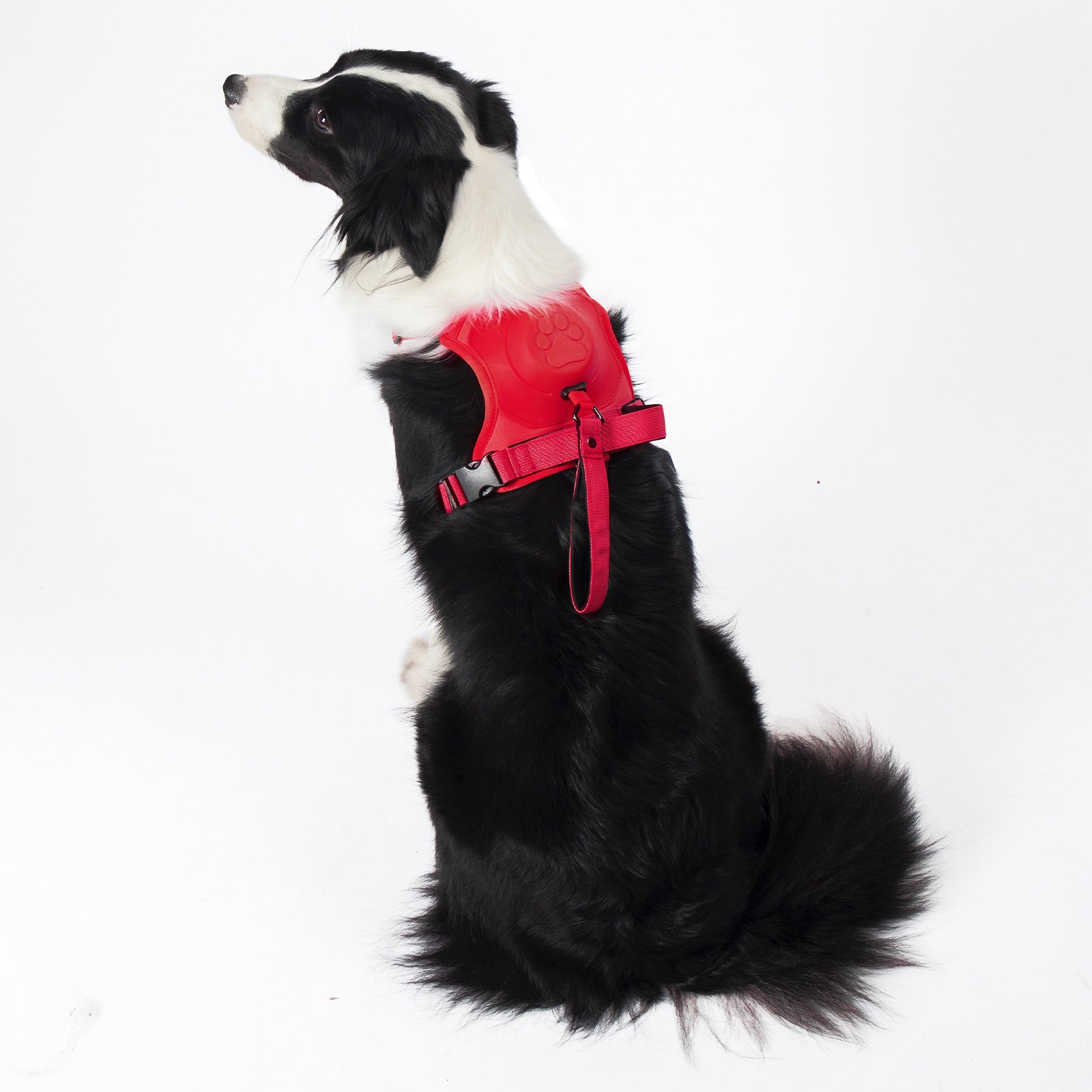 Retractable Dog Leash Vest Harness - Zaloora
