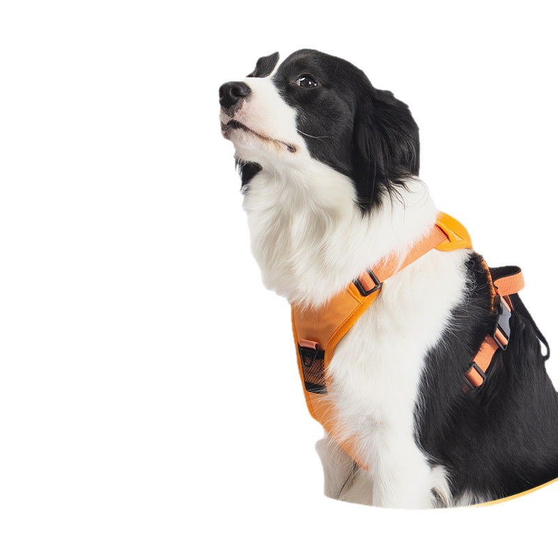 Retractable Dog Leash Vest Harness - Zaloora
