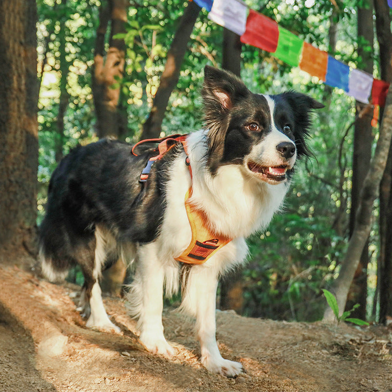 Retractable Dog Leash Vest Harness - Zaloora