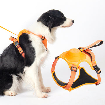 Retractable Dog Leash Vest Harness - Zaloora